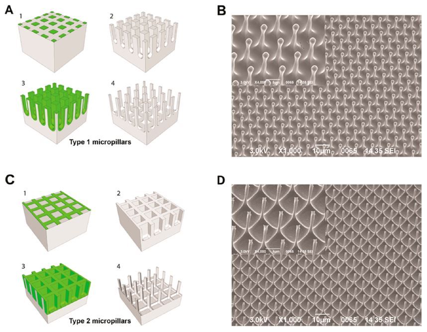 2016 University of Pisa cell transfection studies used nanoneedle arrays produced by lithography and acid etching